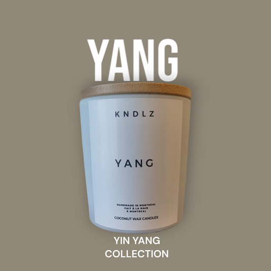 Y A N G